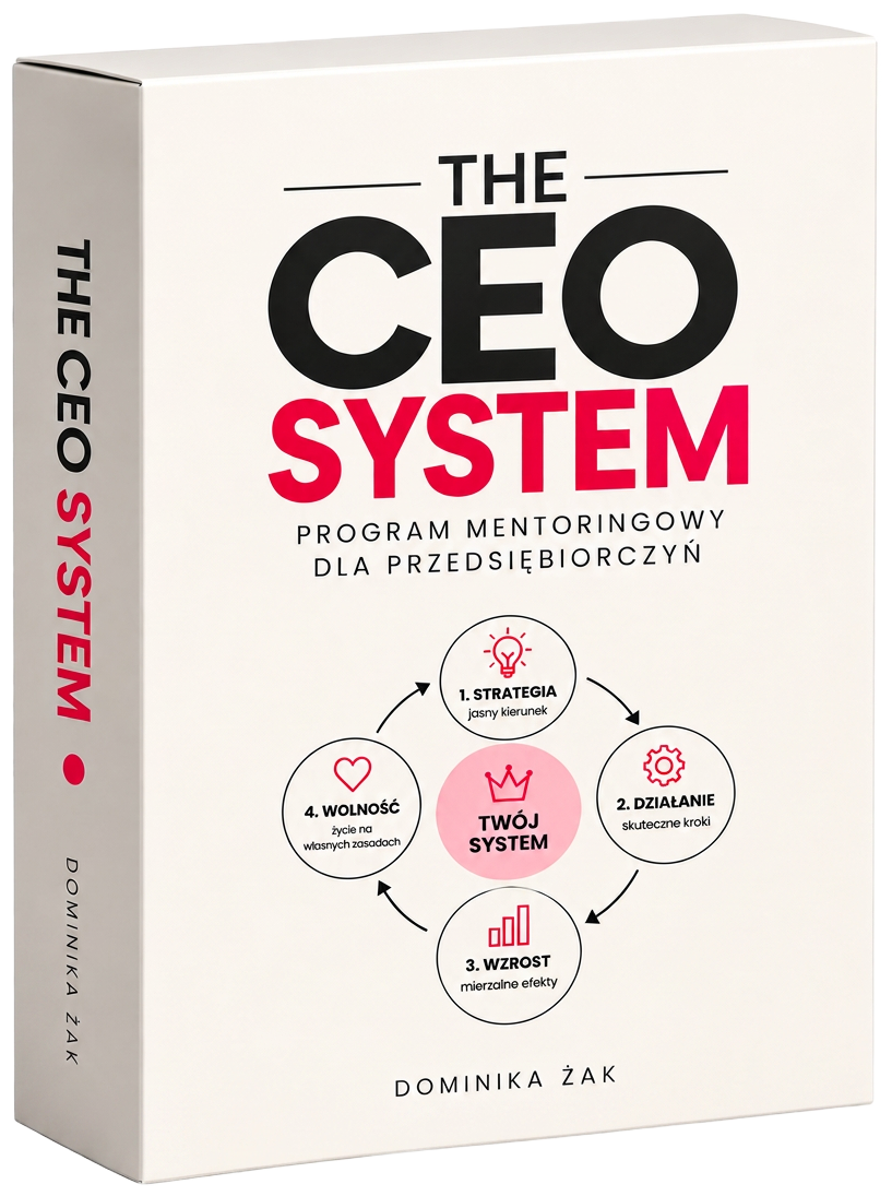 Pudełko programu The CEO System