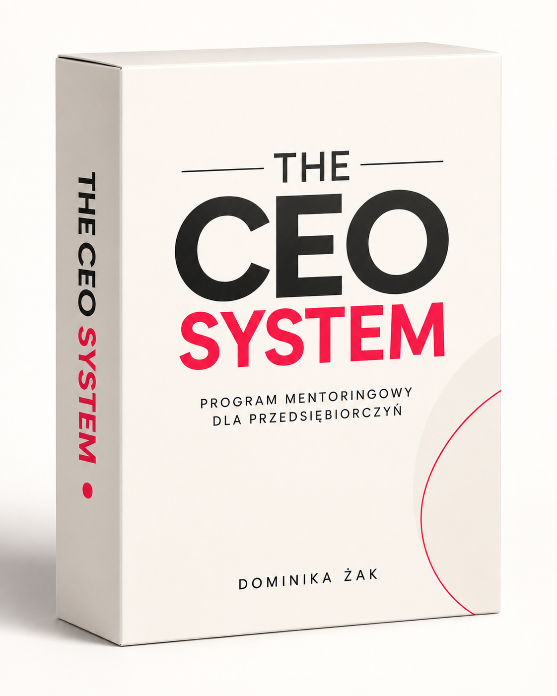 Mentoring The CEO System